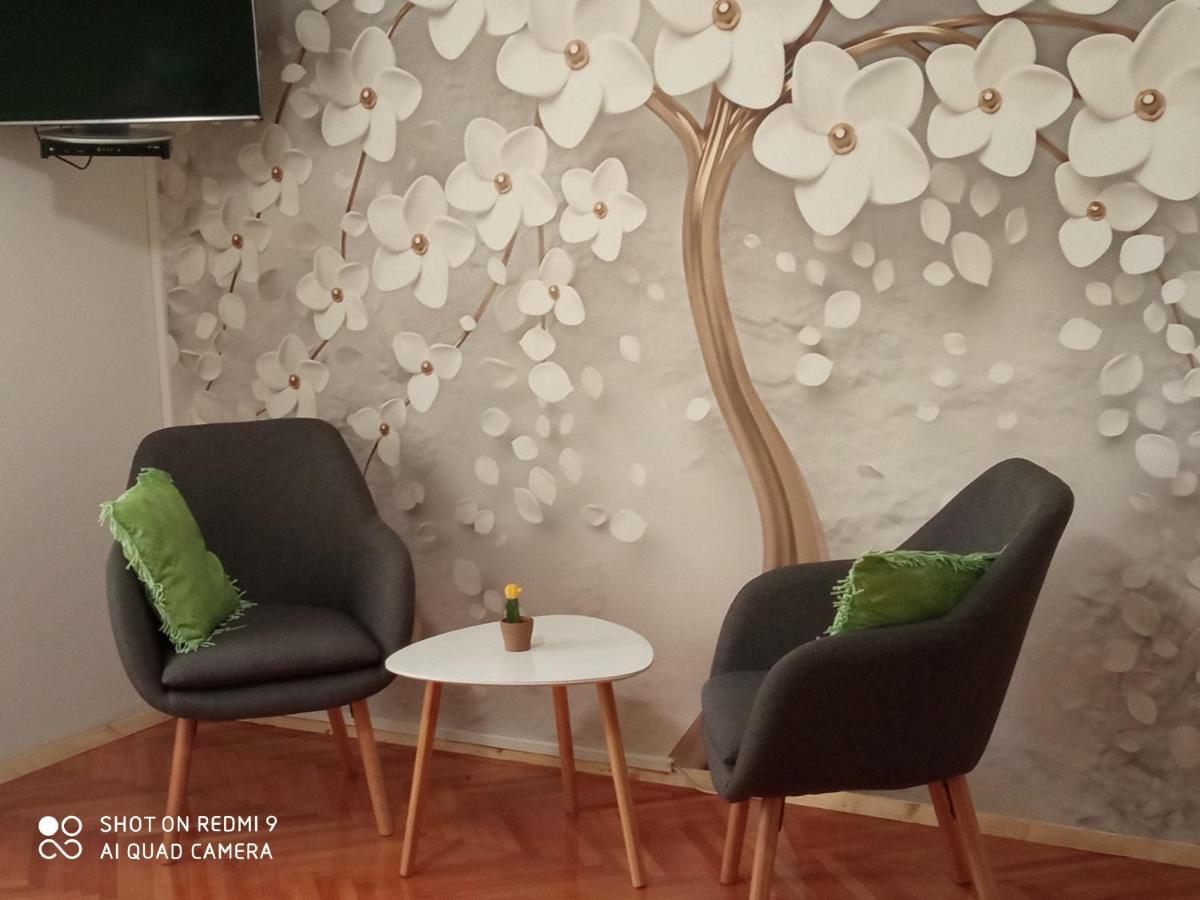 Studios Ana Mari Komiža Rum bild